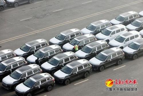 国产图片综合,捕捉时代光影,展现民族风采 第2张 国产图片综合,捕捉时代光影,展现民族风采 第2张